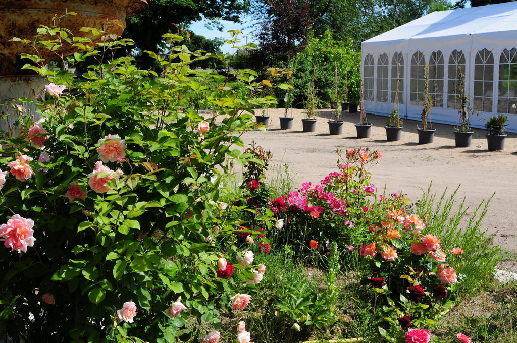 Bed and Breakfast Chateau De La Chaussee Brain-sur-Allonnes Exterior foto